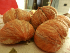 peeled chestnuts