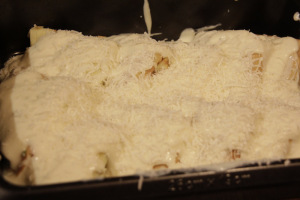Cover with bechamel and parmesan cheese Cover with more bechamel sauce and Parmesan cheese